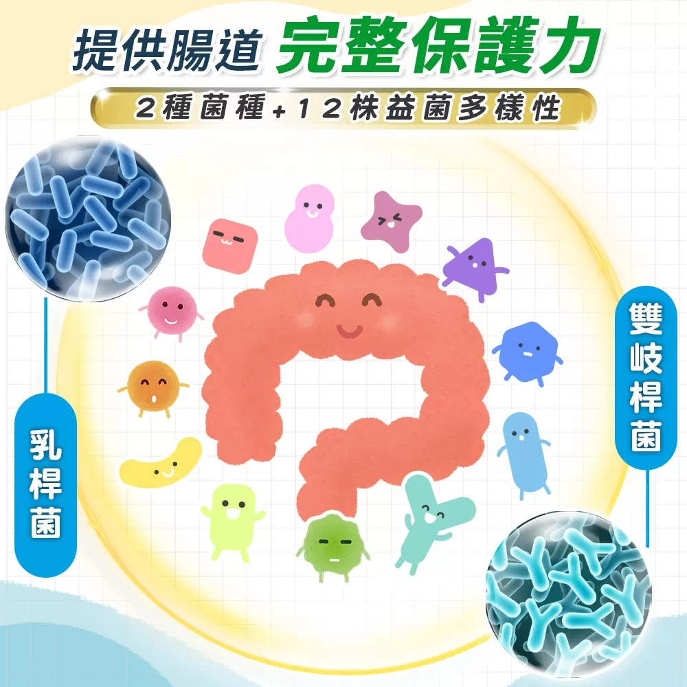 淳軒真｜速纖暢益生菌商品介紹-4-7