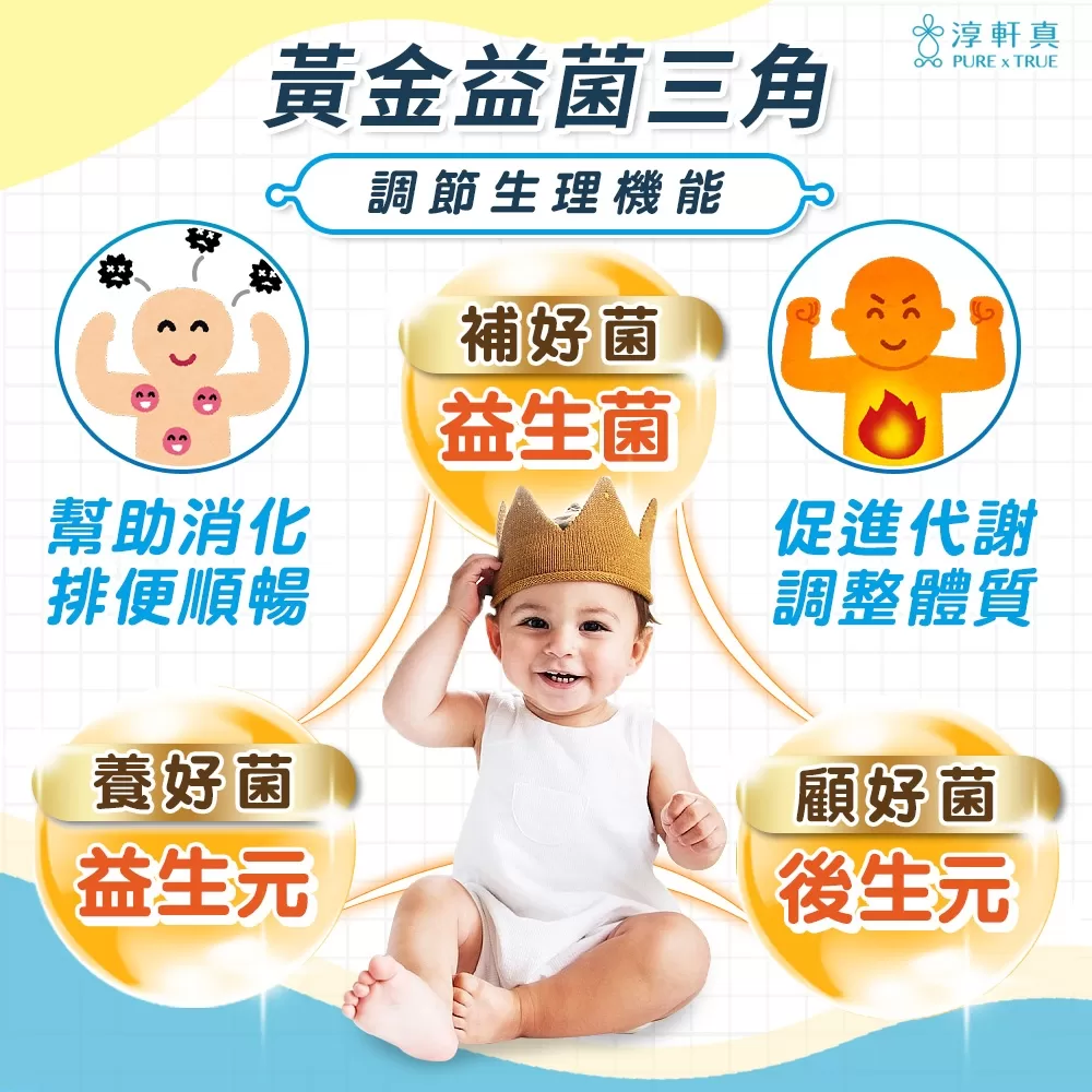 淳軒真｜速纖暢益生菌商品介紹-4-8