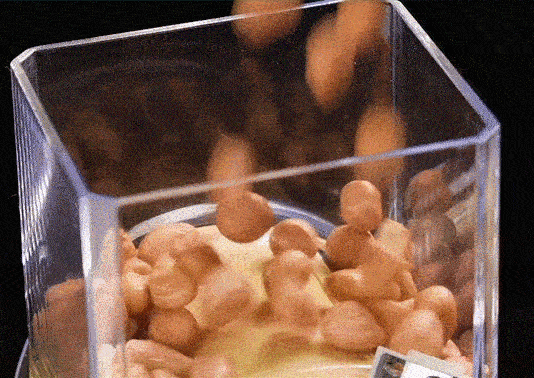 美國熱銷｜龍捲風多功能切菜組商品介紹-2-9